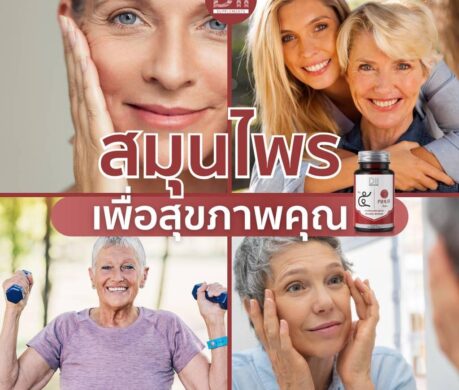 image_168725785581493536722de9628t11cda9ef 459x390