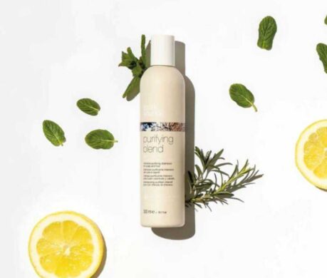 image_168732255073828607222de2434t11cea6a6 459x390