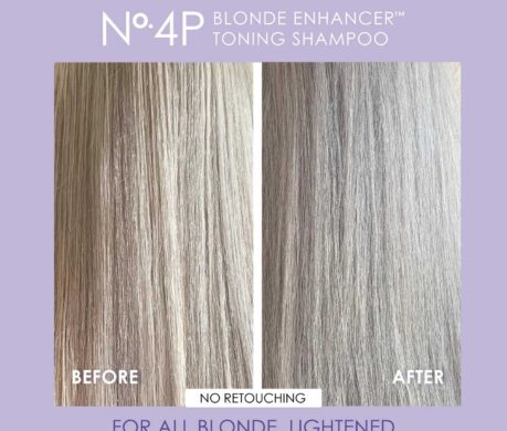 image_16873380933987293976c6a5412t11cee35d 459x390