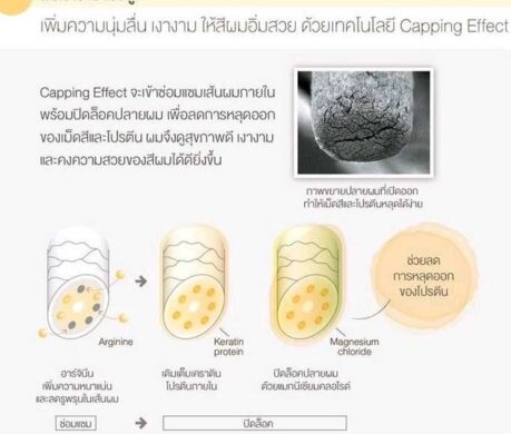 image_16873589366573362896c6b1584t11cf34c8 459x390