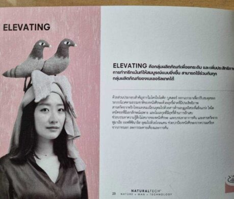 image_168743205817804021822dc1322t11d0526a 459x390