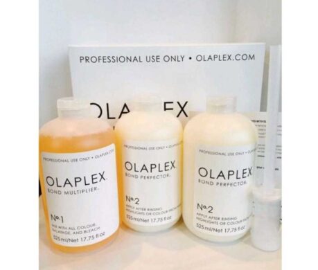 image_16873392549279685636c6a7570t11cee7e6 459x390