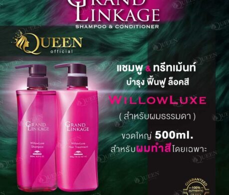 image_16873455752887193996c6b1031t11cf0097 459x390